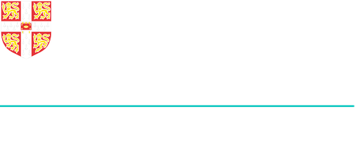 Cambridge International School